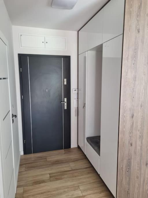 לז'נו Apartament Rejtana מראה חיצוני תמונה